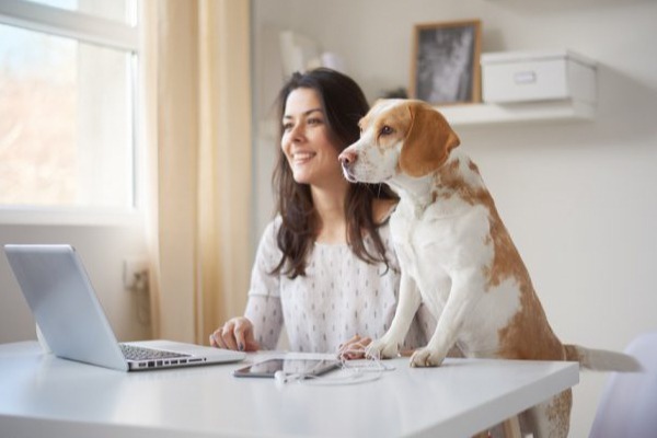 MELHORES FORMAS DE TRABALHAR EM CASA (Confira)